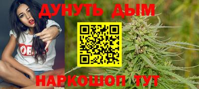 гидра Старая Купавна