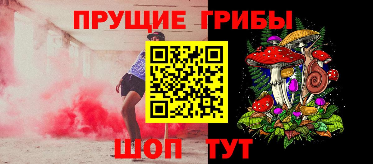 Псилоцибиновые грибы мухоморы  Галлюциногенные грибы GOLDEN TEACHER  Мытищи  цены наркотик  Вход с VPN 